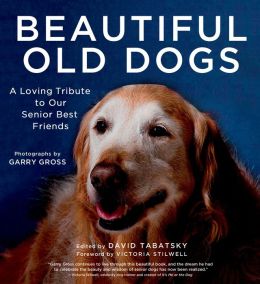 Beautiful Old Dogs A Loving Tribute to Our Senior Best Friends
