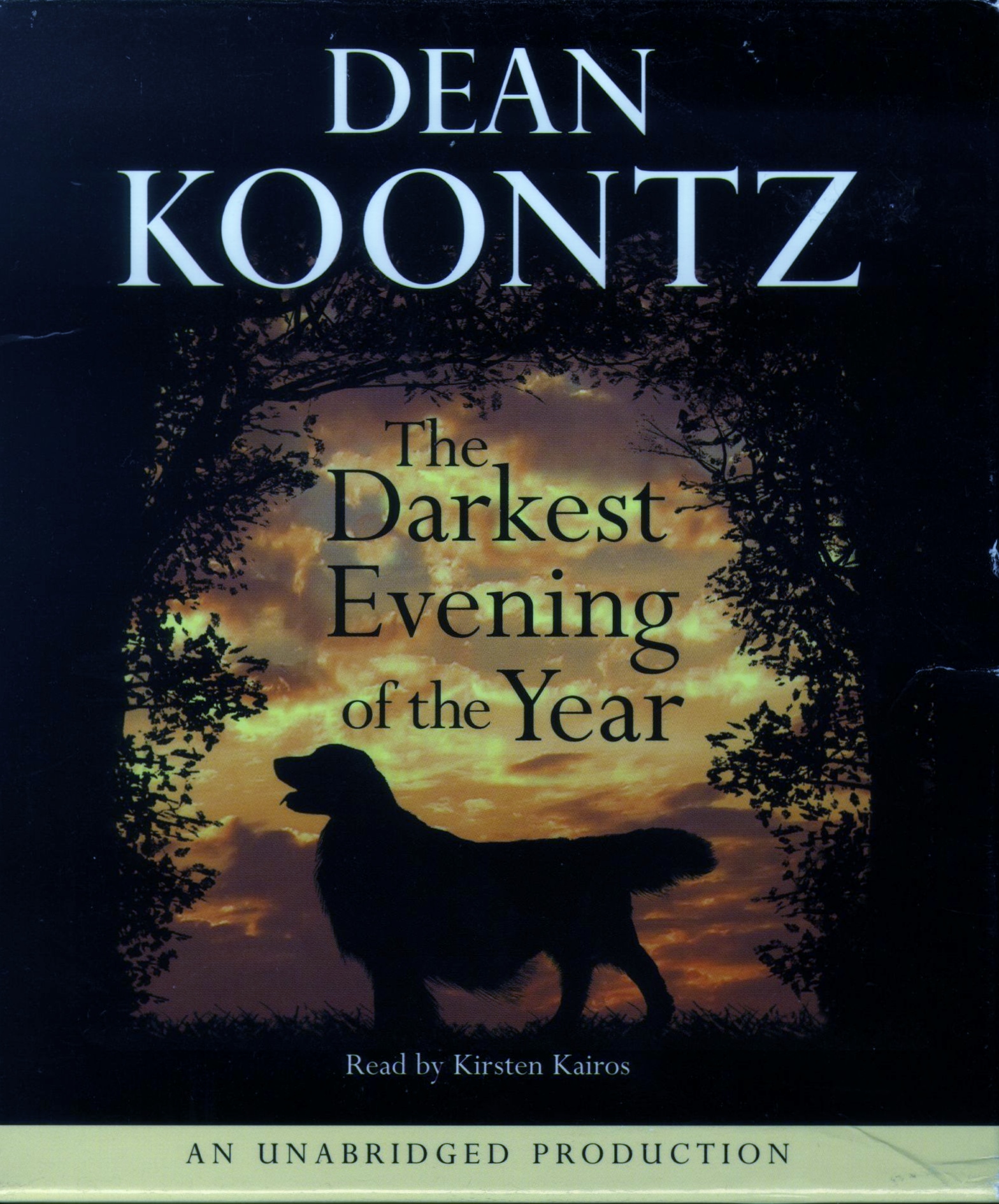 dean koontz the darkest evening of the year summary