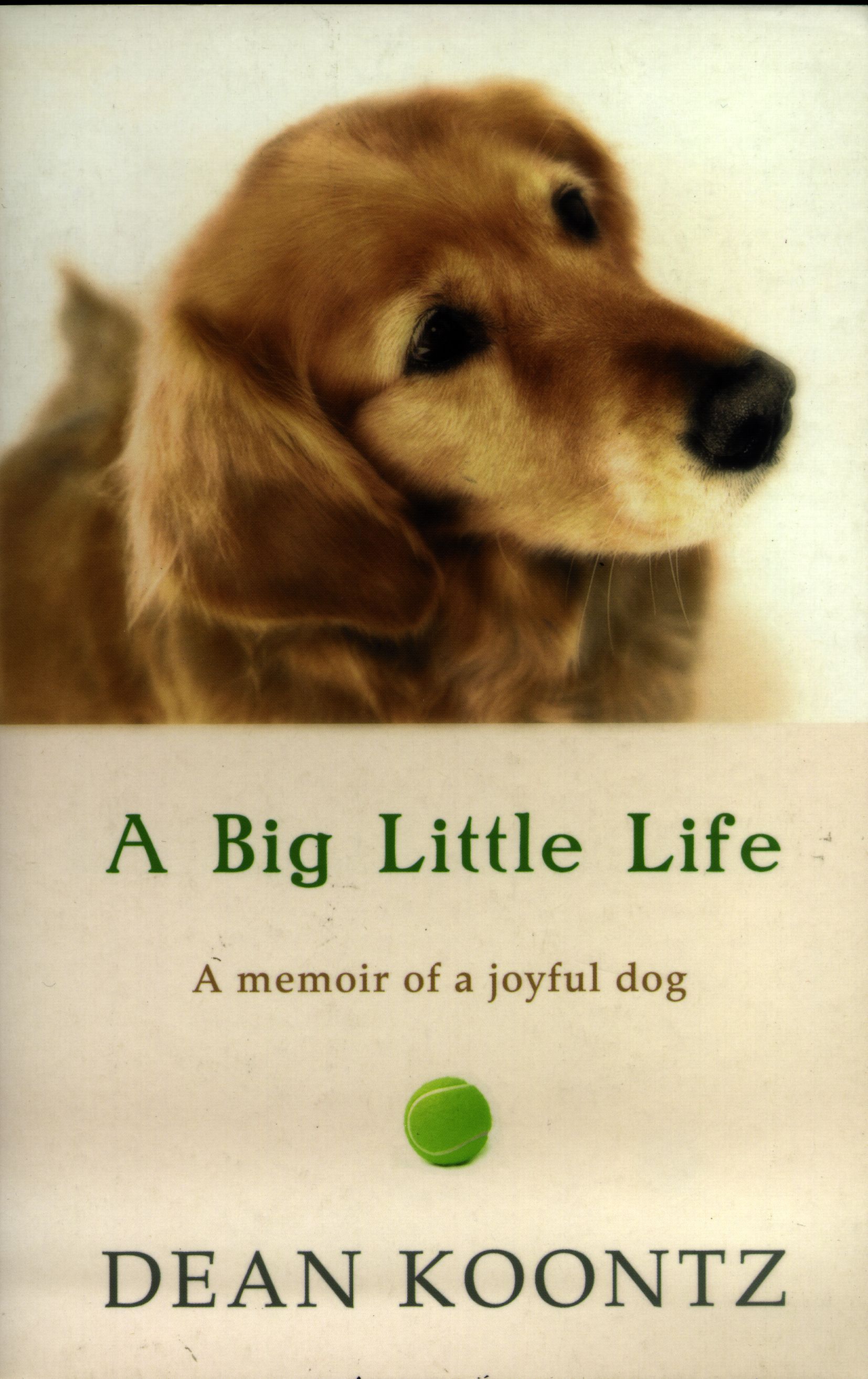 a big little life book review