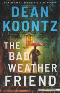 Bad Weather Friend - LP TPBK