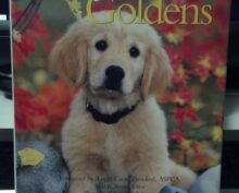Throwback Thursday: Love of Goldens