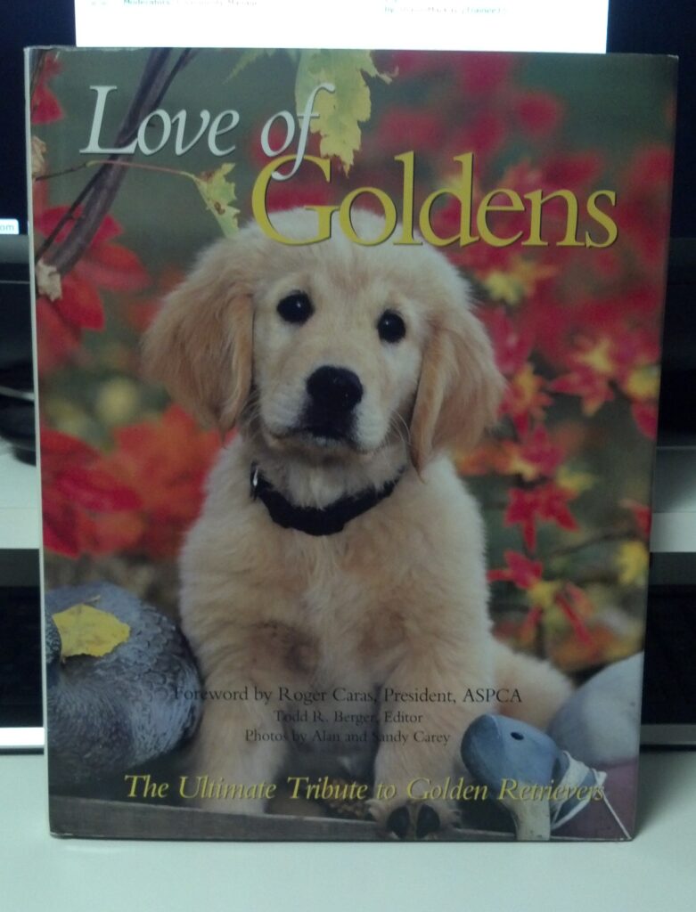 Love of Goldens